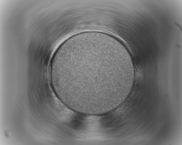 X0000102381514200808291349