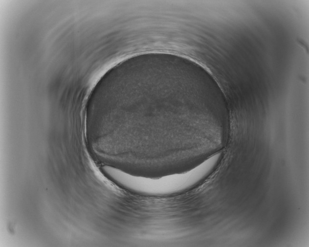 X0000102381515200808291349