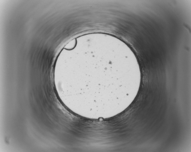 X0000102381516200808291349