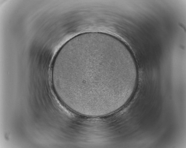 X0000102381517200808291349