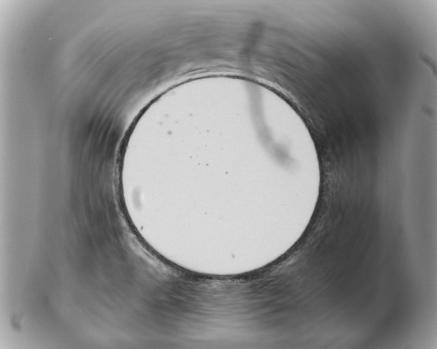 X0000102381518200808291349