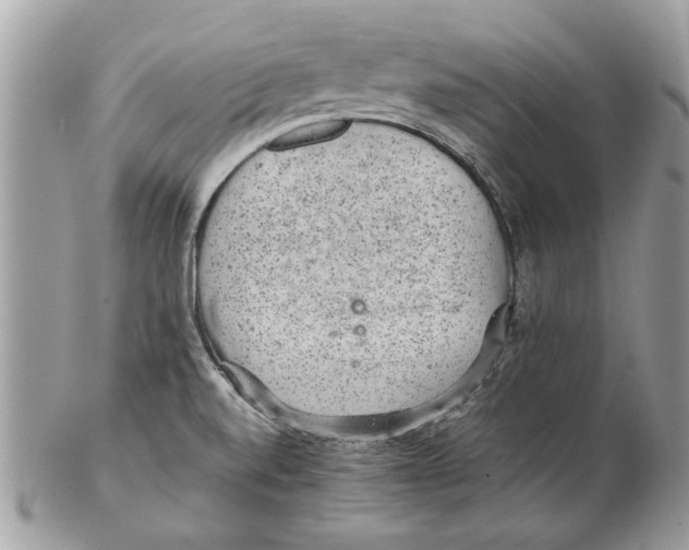 X0000102381520200808291349