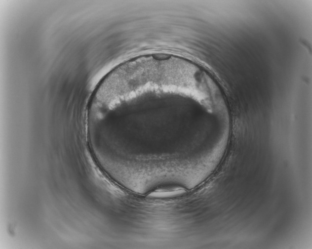 X0000102381522200808291349