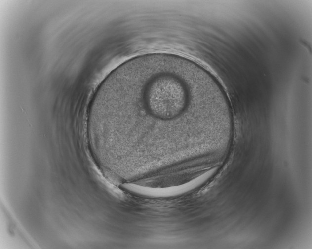 X0000102381525200808291349