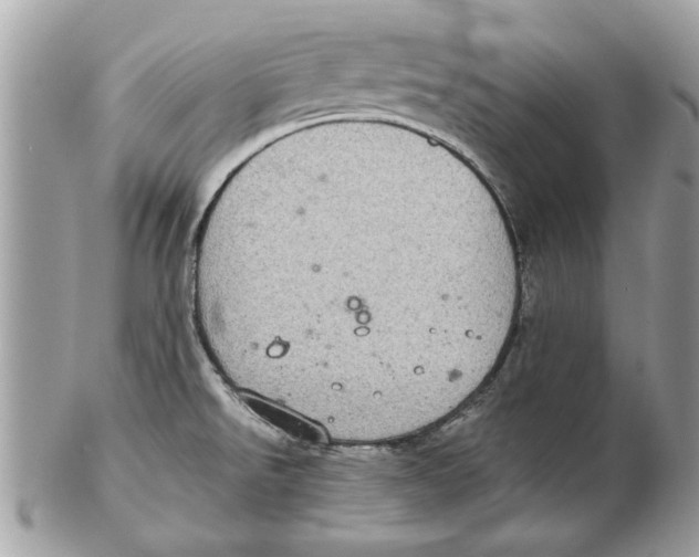 X0000102381526200808291349