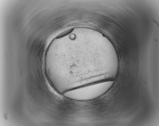 X0000102381528200808291349