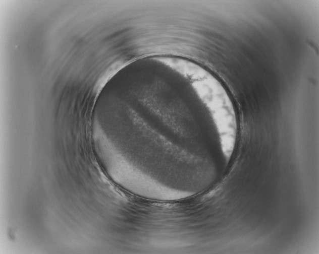 X0000102381529200808291349