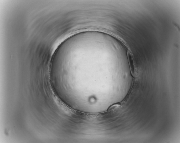 X0000102381530200808291350