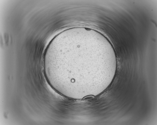 X0000102381531200808291350