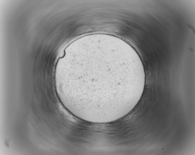 X0000102381532200808291350