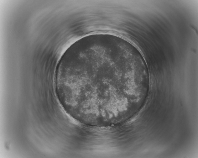 X0000102381533200808291350