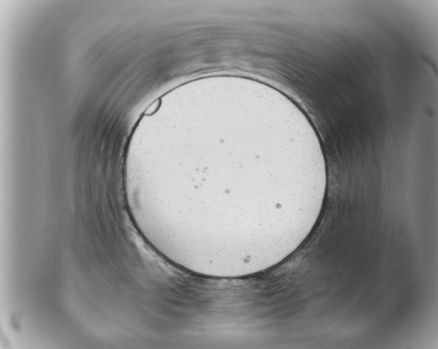 X0000102381534200808291350