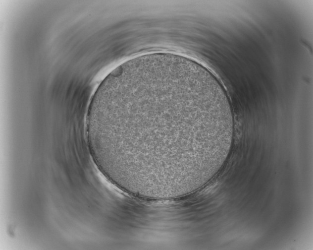 X0000102381535200808291350