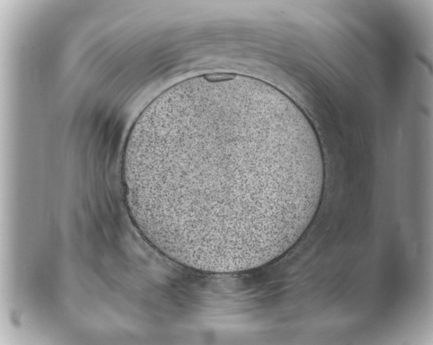 X0000102381536200808291350