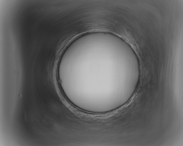X0000102390001200808010944