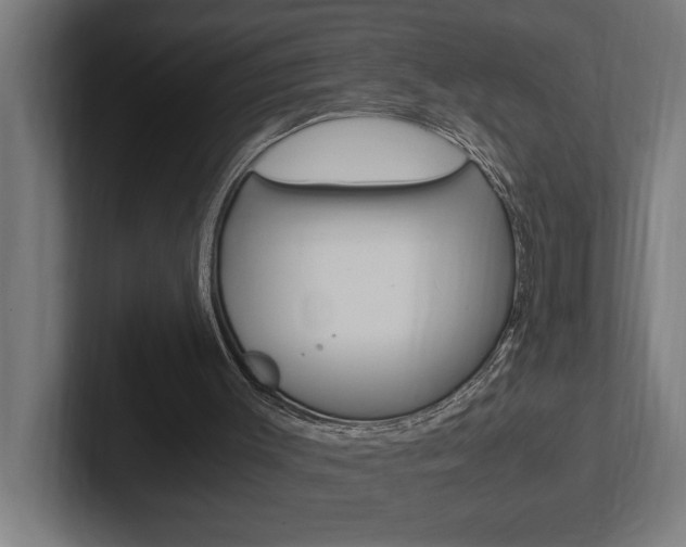 X0000102390003200808010944