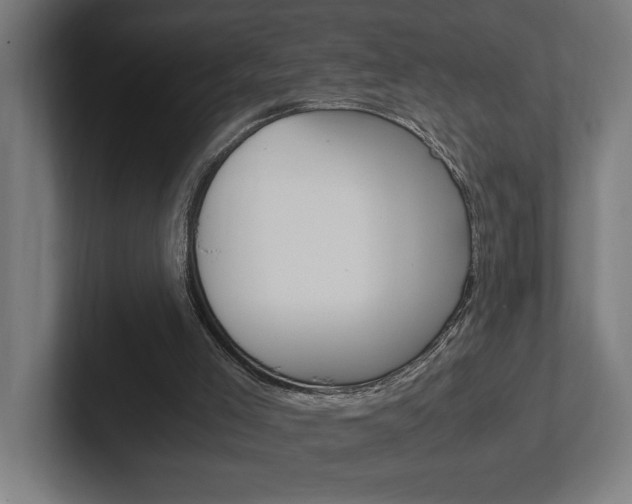 X0000102390005200808010944