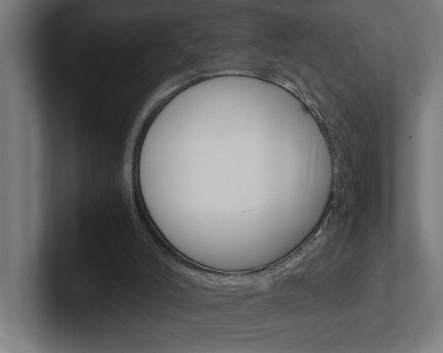 X0000102390006200808010944
