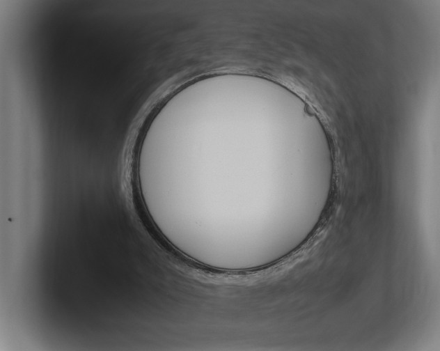 X0000102390007200808010944