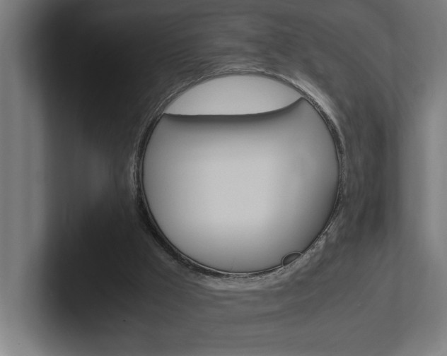 X0000102390009200808010944