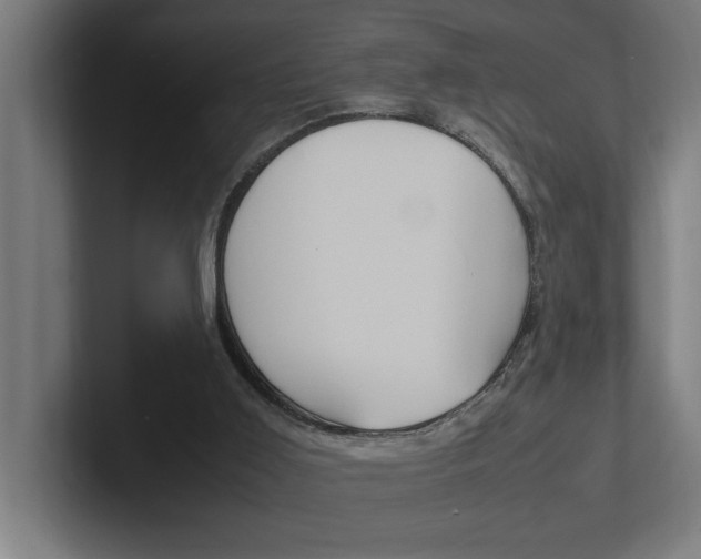 X0000102390011200808010944