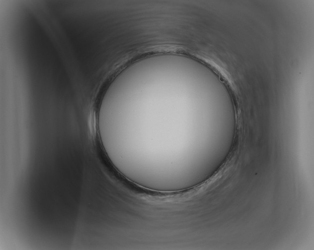 X0000102390013200808010944