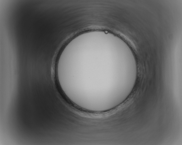 X0000102390015200808010944