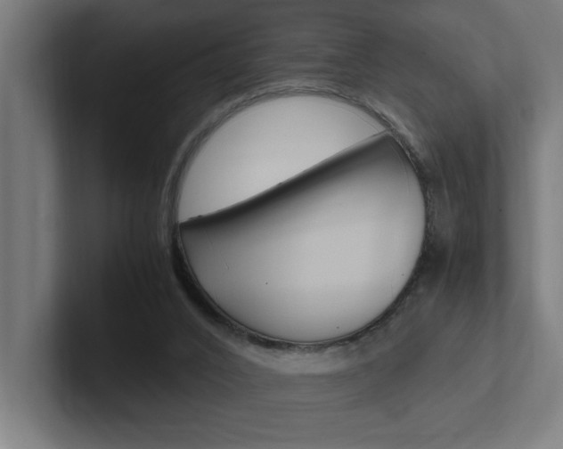 X0000102390016200808010944