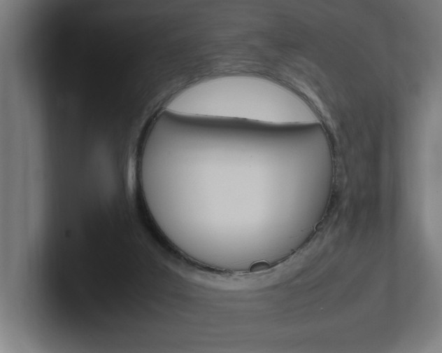 X0000102390019200808010943