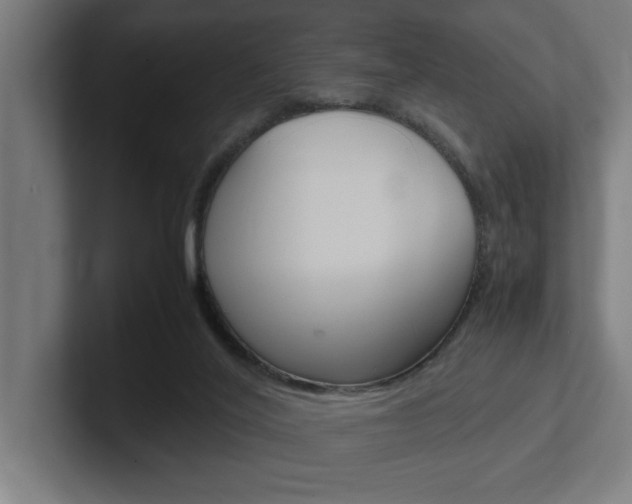 X0000102390020200808010943