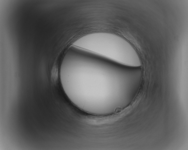 X0000102390021200808010943