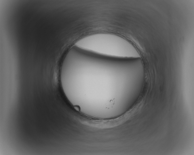 X0000102390023200808010943