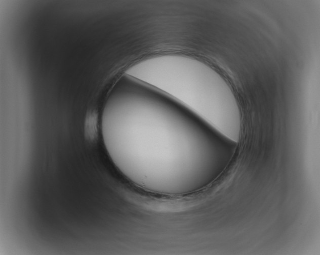 X0000102390024200808010943