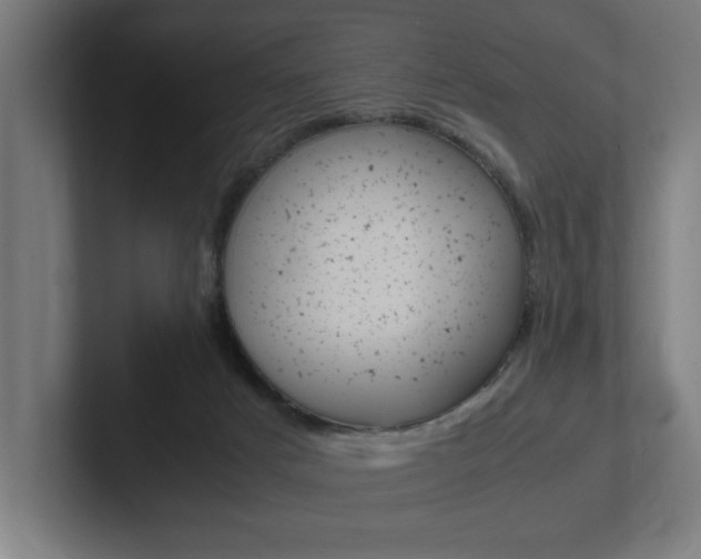 X0000102390025200808010943
