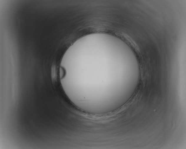 X0000102390026200808010943