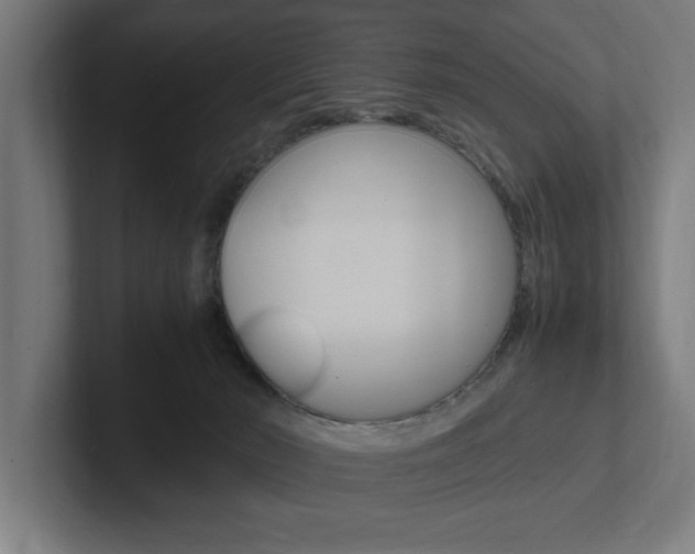 X0000102390030200808010943