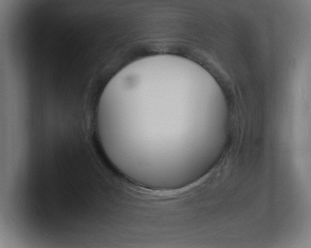 X0000102390031200808010943