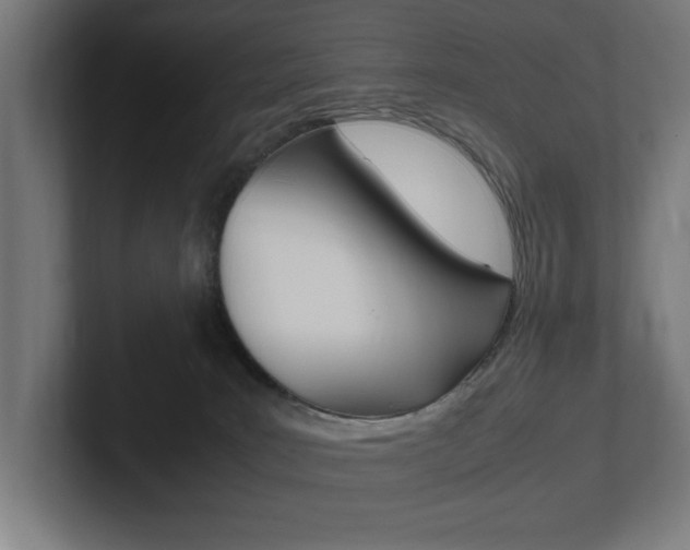 X0000102390035200808010943