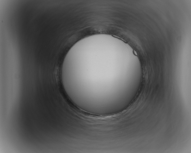 X0000102390036200808010943
