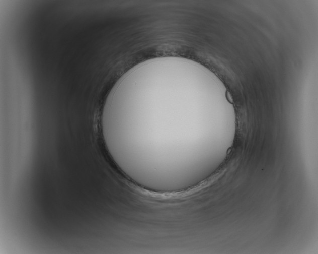 X0000102390038200808010943