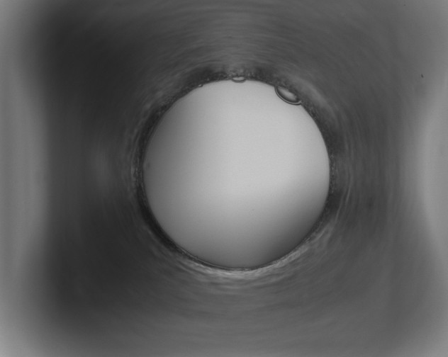X0000102390039200808010943