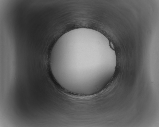 X0000102390040200808010943