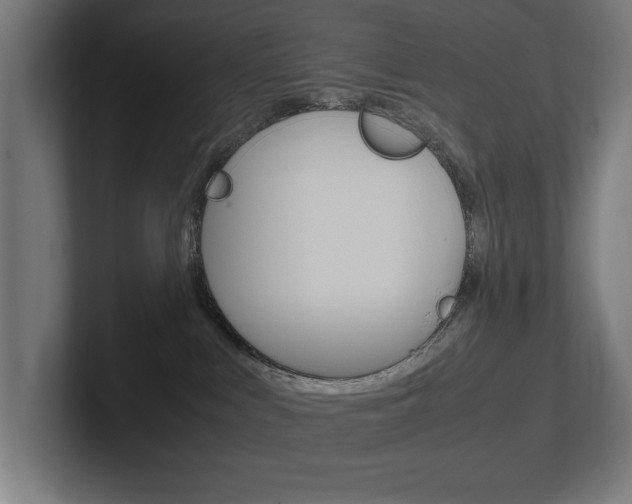 X0000102390043200808010943
