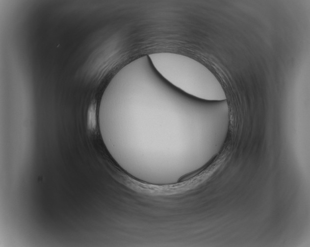 X0000102390046200808010943