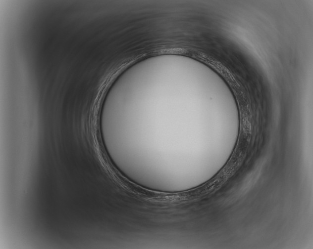 X0000102390049200808010942