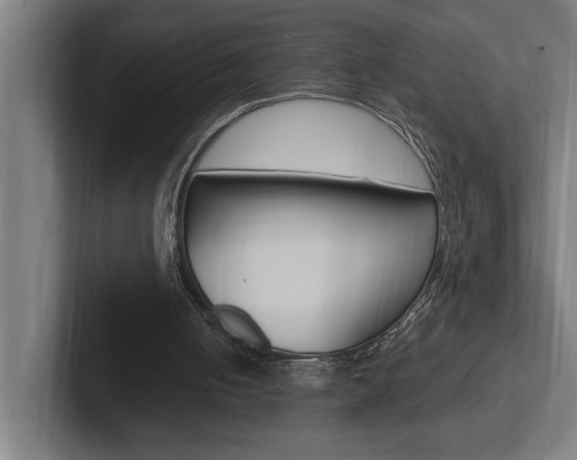 X0000102390050200808010943