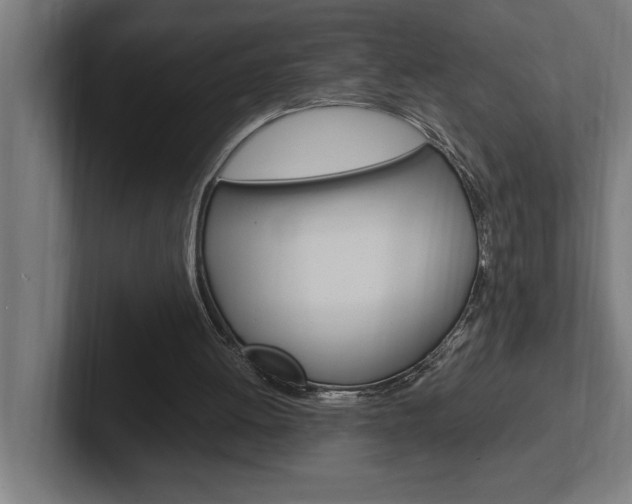 X0000102390052200808010943