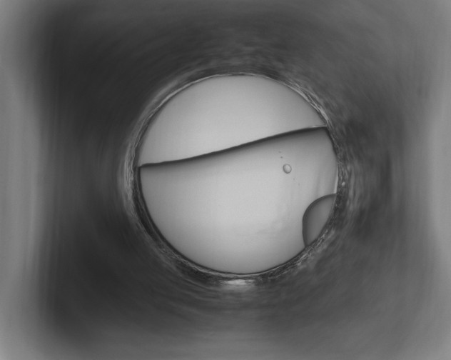 X0000102390053200808010943