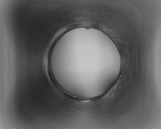 X0000102390054200808010943