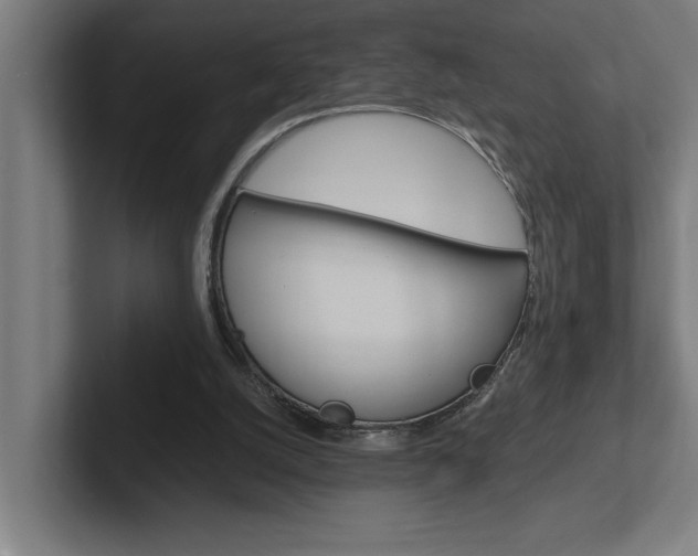 X0000102390056200808010943